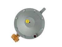 rdsg-1-12_a