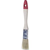 kist-ploskaya-stayer-universal-standard-svetlaya-naturalnaya-shchetina-derevyannaya-ruchka-20mm-0101-020-1_r90-500x500