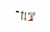 EWH 10 Rival O9 EWH 10 Rival O9